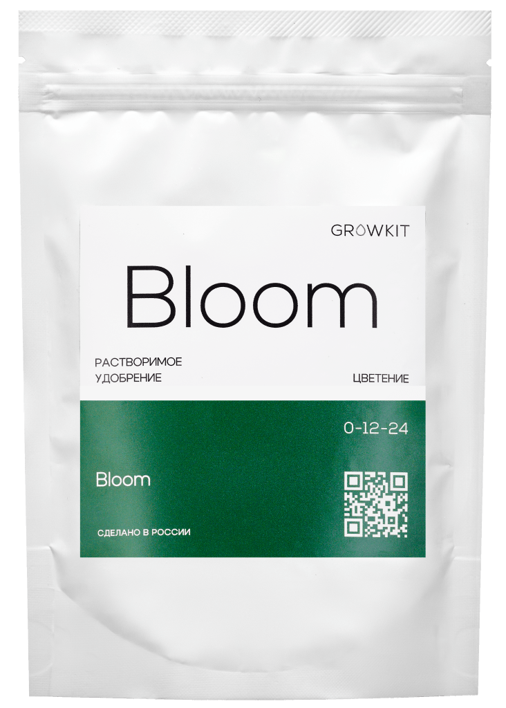 Bloom
